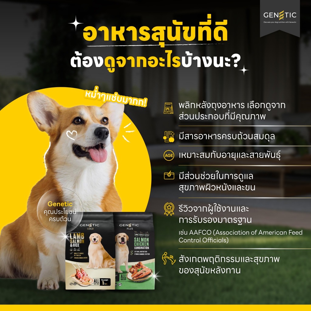 อาหารสุนัข Genetic  จับคู่ถูกกว่า สูตร Gold และ สูตร Plus เกรดพรีเมียม ขนาด 2.27Kg. ราคา ถูกที่สุด ดีลบีเคเค แกลเลอรีภาพที่ 8