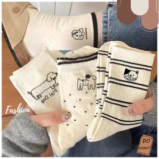พร้อมส่ง⚡ มีเก็บเงินปลายทาง💸ถุงเท้าหุ้มข้อ มี 5 ลาย ใส่ได้ทั้งชายและหญิง แนะนำเท้าไม่เกิน41 (ราคาต่อ 1 คู่) : Do hight