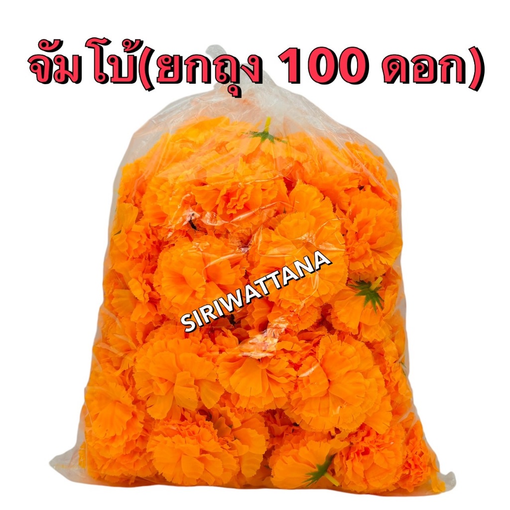 ดอกดาวเรืองจัมโบ้ ยกถุง 100 ดอก