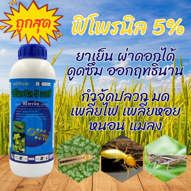 ฟิโพรนิล 5% ขนาด 1 ลิตร กำจัดปลวก เห็บ หมัด มด หนอนเจาะ หนอนกอ เพลี้ยไฟ ยาเดียวกับ แอสเซนด์