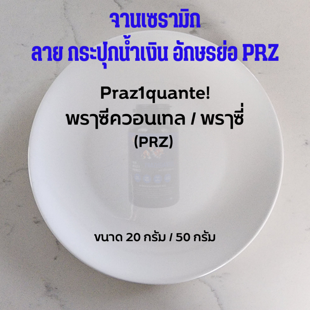 จานเซรามิก ลาย กระปุกน้ำเงิน PRZ / Praz1 / พรๅซี