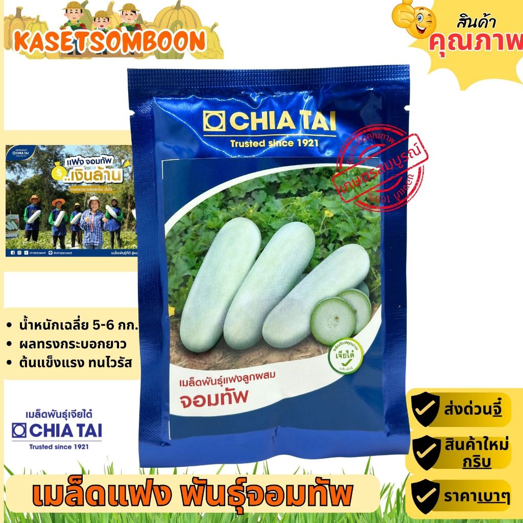 แฟง พันธุ์ลูกใหญ่ จอมทัพ เมล็ดพันธุ์ ขนาด 50 กรัม เมล็ดแฟง (แฟงงาช้าง) ตราเจียไต๋