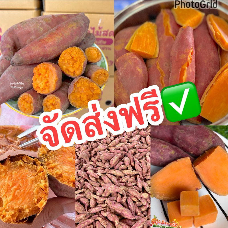 มันแครอท มันส้มโอกินาว่าสายพันธุ์ญี่ปุ่น 🍠 อร่อยหวาน มัน ไม่เสี้ยน ไม่แมง 👍🏻