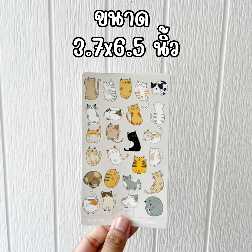 พร้อมส่ง - สติ๊กเกอร์เซ็ต 25 ชิ้น รวมแมวน่ารัก น้องแมว สติ๊กเกอร์ PP Glossy กันละอองน้ำ สีสดชัด กันน้ำ ทนแดด