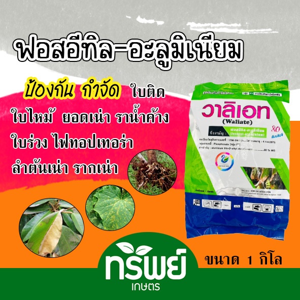 ฟอสอีทิล-อลูมิเนียม80 วาลิเอท สารกำจัดโรคพืช โรคเน่า ไฟท็อป ราน้ำค้าง รากเน่า โคนเน่า ขนาด 1 กิโลกรัม