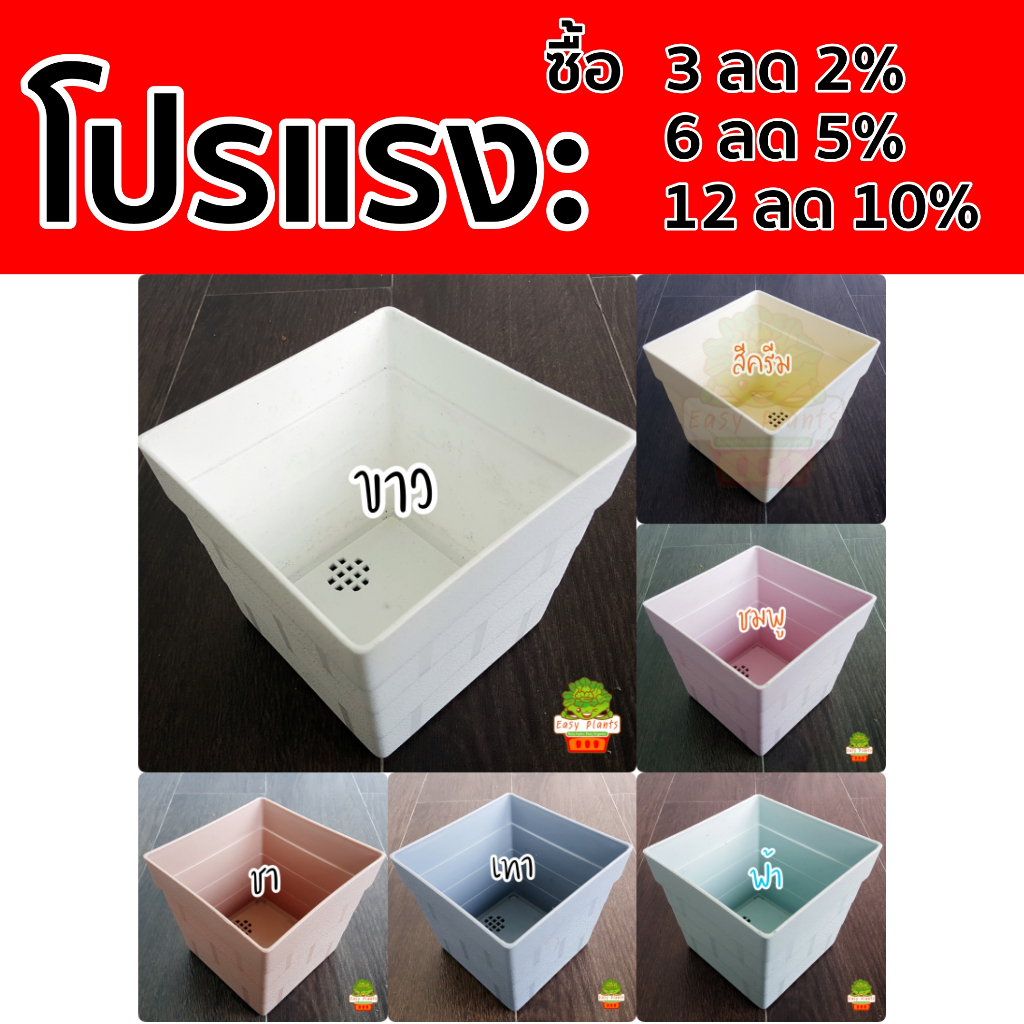 กระถาง 5x5 นิ้ว แคตตัส ไม้บอน ต้นไม้ พลาสติก ขนาด 5 นิ้ว สีพาสเทล มี 6 สี ขาว ครีม เทา ฟ้า ชมพู ชา