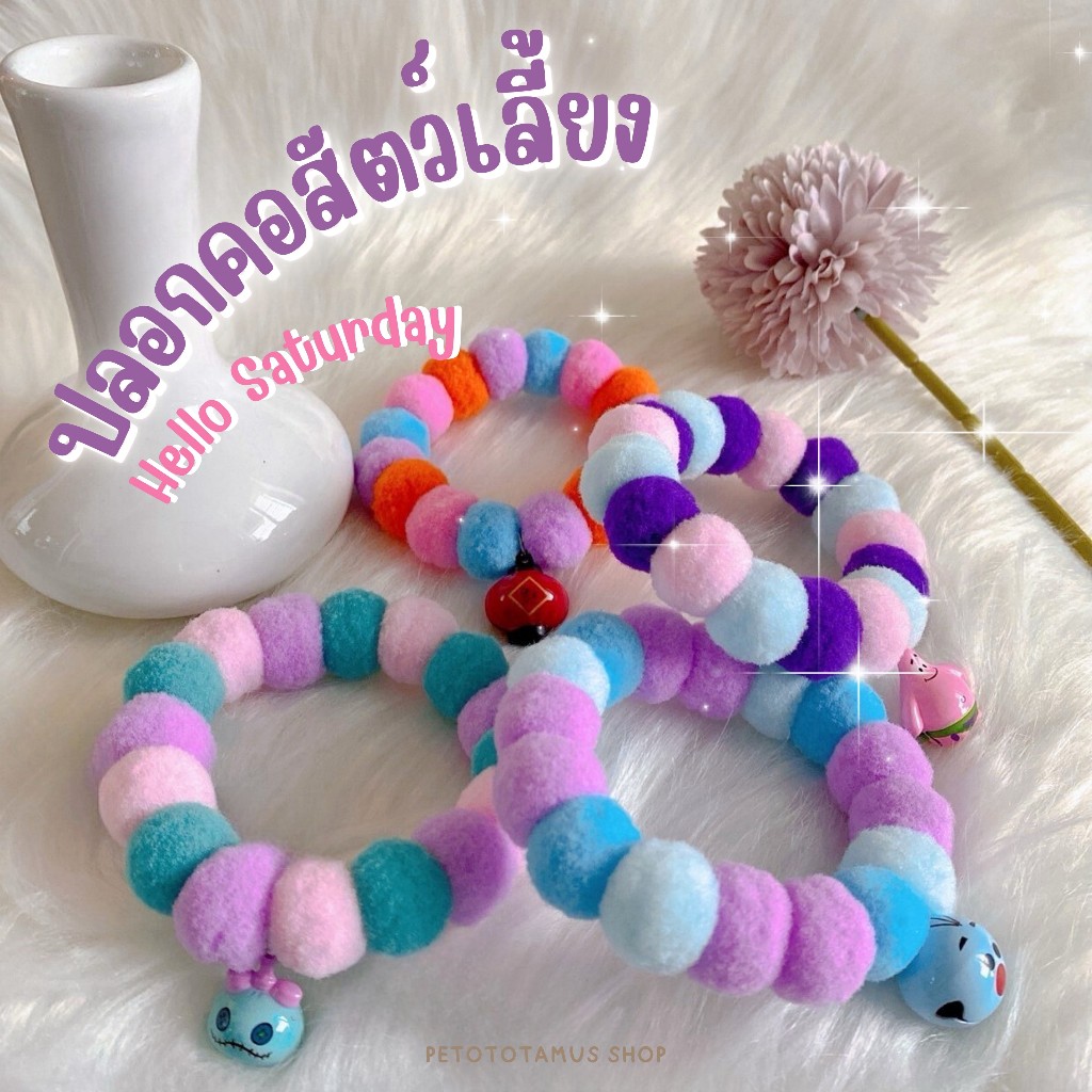 Saturday สวัสดีวันเสาร์ ปลอกคอโทนสีม่วง ปลอกคอแมว ปลอกคอสุนัข ปลอกคอปอม สายม่วงห้ามพลาด!! ทันสมัย