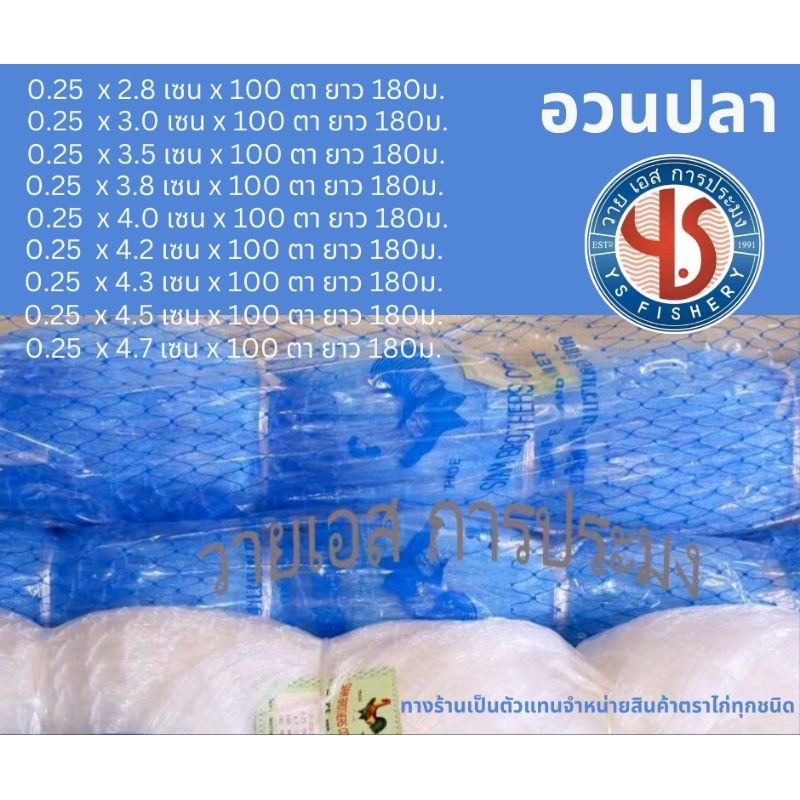 อวนเอ็นเบอร์ 25 ลึก 100 ตา  ขนาดตา 2.8 3.0 3.5 3.8 4.0 4.2 4.3 4.5 4.7เซน ยาว 180 เมตร สีฟ้า ตราไก่ อวนจับปลาตราไก่