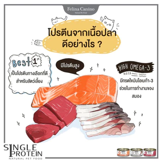 Felina Canino Single Protein อาหารเปียกสุนัข เนื้อเน้นๆ ไม่เติมเกลือ ขนาด 85 กรัม