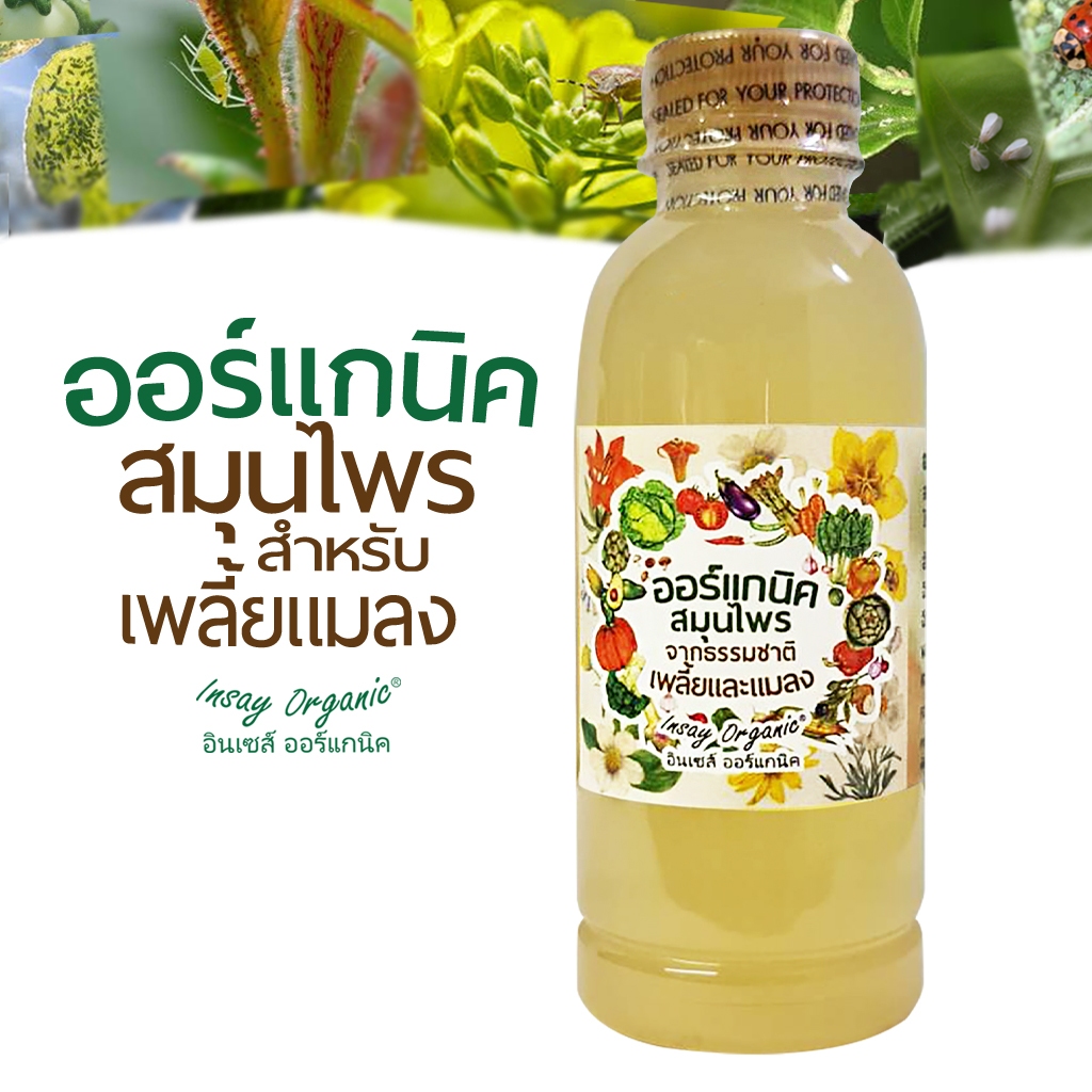 ออร์แกนิคสมุนไพร INSAY ใช้ฉีดพ่น เพลี้ยและแมลง ใช้กับพืชผักทุกชนิด (250 มล.)