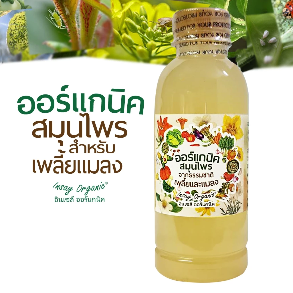 ออร์แกนิคสมุนไพร INSAY ใช้ฉีดพ่น เพลี้ยและแมลง ใช้กับพืชผักทุกชนิด (250 มล.)