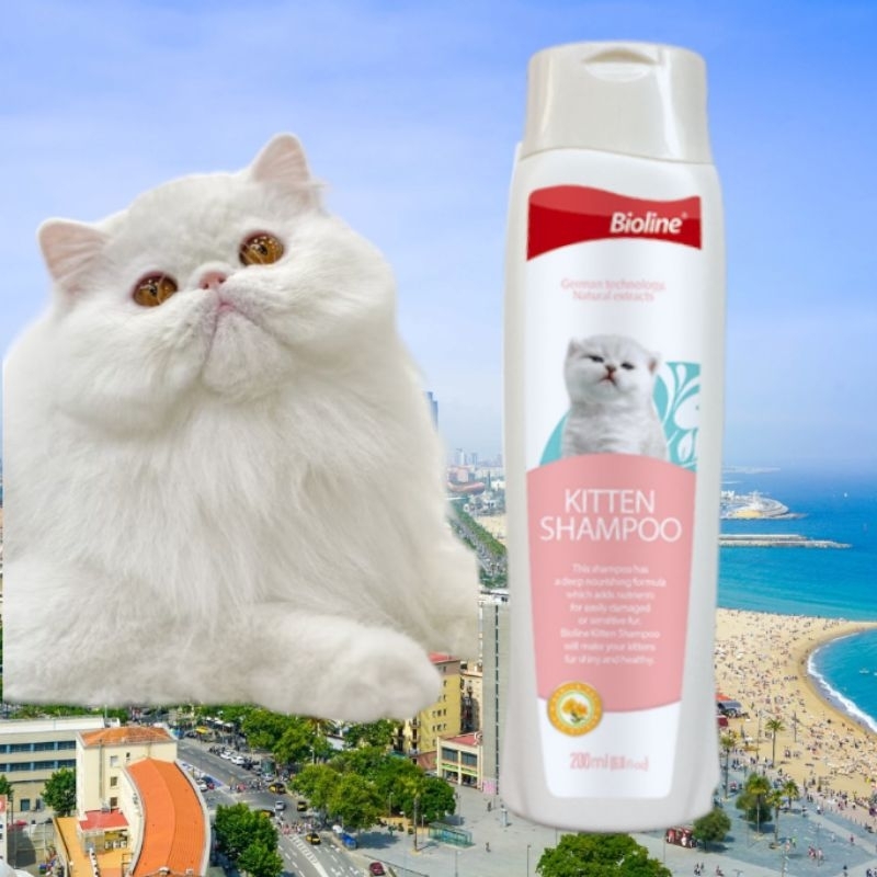 Bioline แชมพู ลูกแมว Kitten Shampoo 200ml-BL(2385)