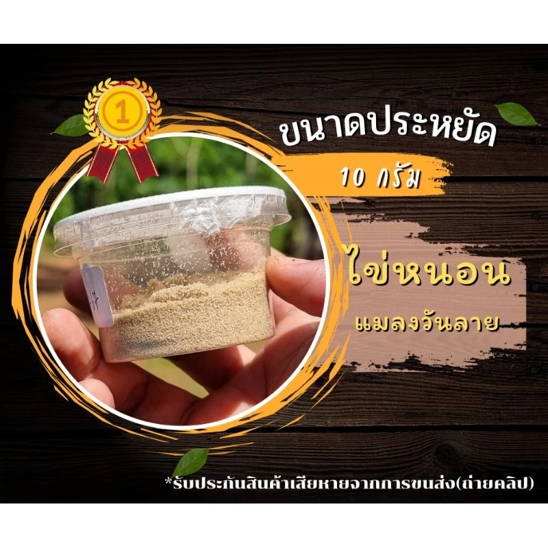ไข่หนอนแมลงวันลาย BSF ขนาดประหยัด 10 กรัม หนอนโปรตีน Blacksoldierfly แมลงวัน ไข่หนอน หนอน