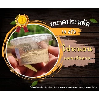 ไข่หนอนแมลงวันลาย BSF ขนาดประหยัด 10 กรัม หนอนโปรตีน Blacksoldierfly แมลงวัน ไข่หนอน หนอน