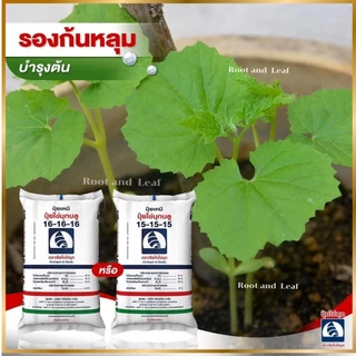 ปุ๋ยเรือใบไข่มุก สูตรเสมอ 16-16-16 เม็ดสีฟ้า ขนาด ถุง 5 กิโลกรัม บำรุงต้น ดอก ใบ เร่งการเจริญเติบโต เหมาะกับพืชผัก ผลไม้