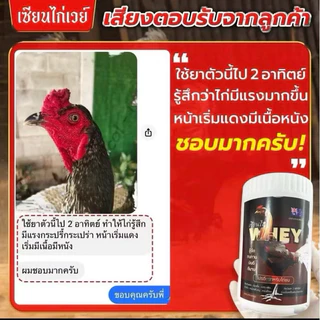 💪🏽🐔เซียนไก่เวย์ โปรตีนไก่ชน บินดีไม่มีตก วิ่งอืด บำรุงไก่ชน เสริมกระดูก #เซียนไก่การันตี🐓
