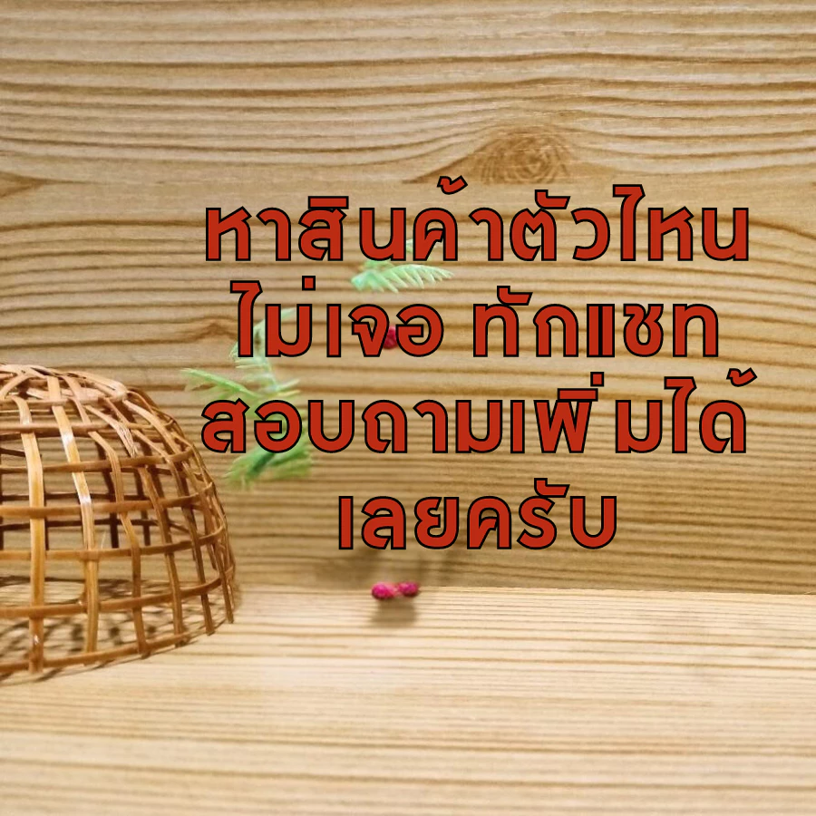 หาญชัย วิตามินบำรุงดวงตาไก่ ให้มีสุขภาพตาที่ดี ไม่เจ็บ มองเห็นชัด สายตาดี thumbnail 3