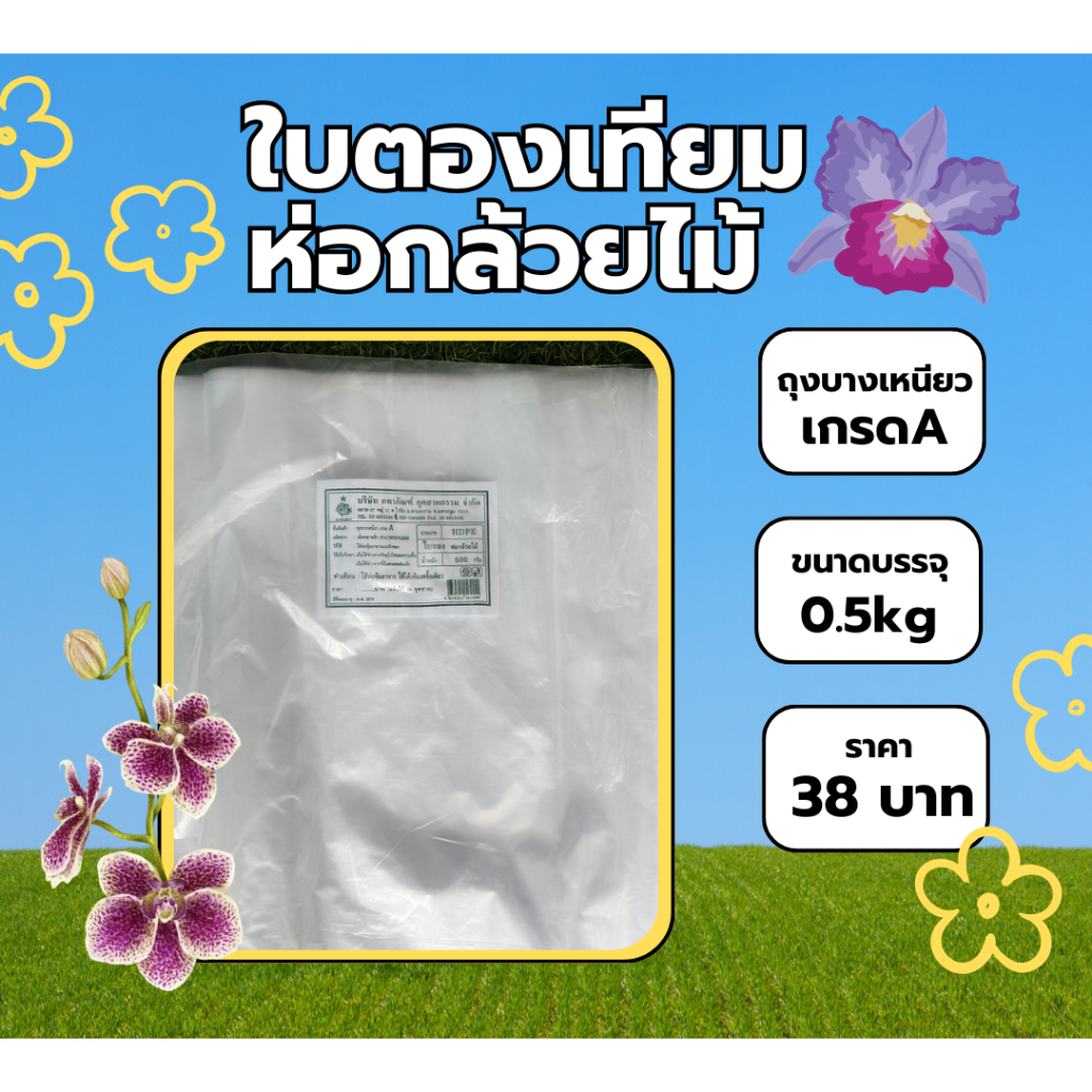 ถุงใบตองห่อกล้วยไม้ ถุงบางเหนียวเกรดA