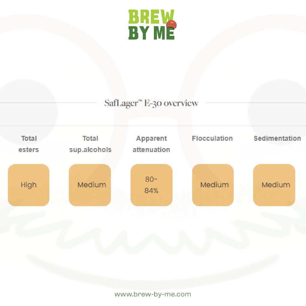 ยีสต์หมักเบียร์ SafLager™ E-30 - Fermentis - รูปที่ 2