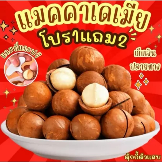 (ส่งด่วน) ลดแรง 1แถม2 ถุงละ100g. แมคคาเดเมีย เกรดพรีเมี่ยม เม็ดใหญ่ เปลือกบาง เนื้อเยอะ ตุ๊กกี้ตัวแสบ