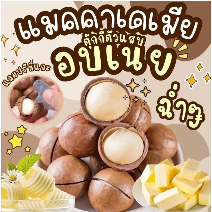 (ส่งด่วน) Flash Sale 100g แมคคาเดเมีย เม็ดใหญ่ เปลือกบาง เนื้อเยอะ ตุ๊กกี้ตัวแสบ 100g