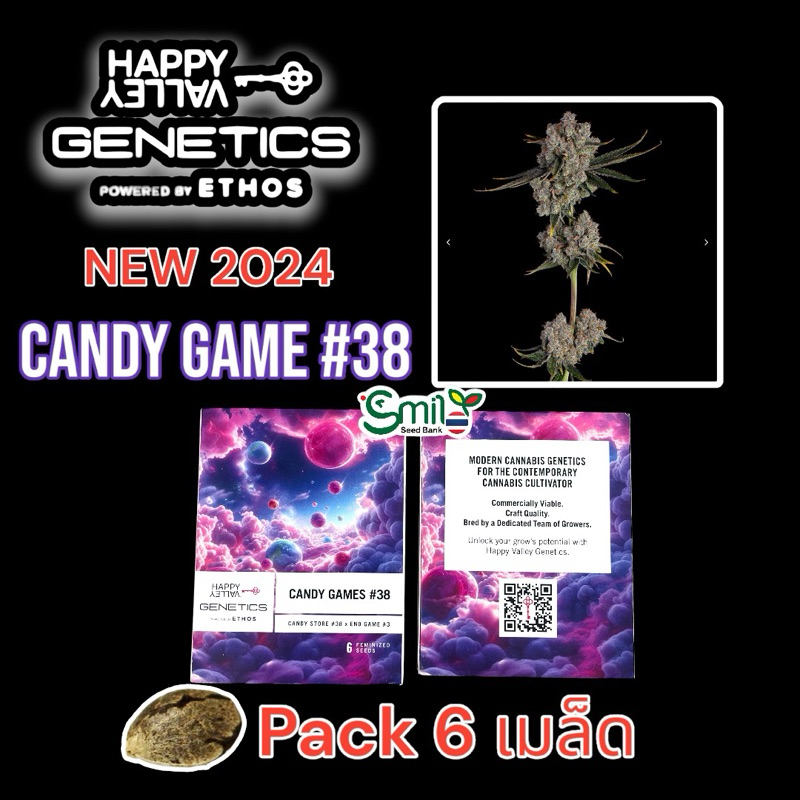 เมล็ดกัญชา Candy Game #38 (Fem) ใหม่ล่าสุด 2024 - Happy Valley Genetics by ETHOS