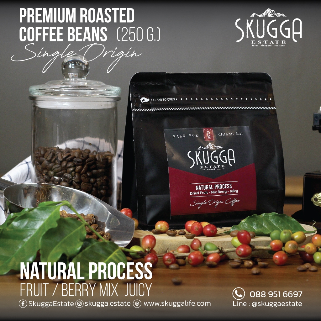 เมล็ดกาแฟคั่วกลาง Natural Process l Skugga Single Origin Coffee - Natural Process