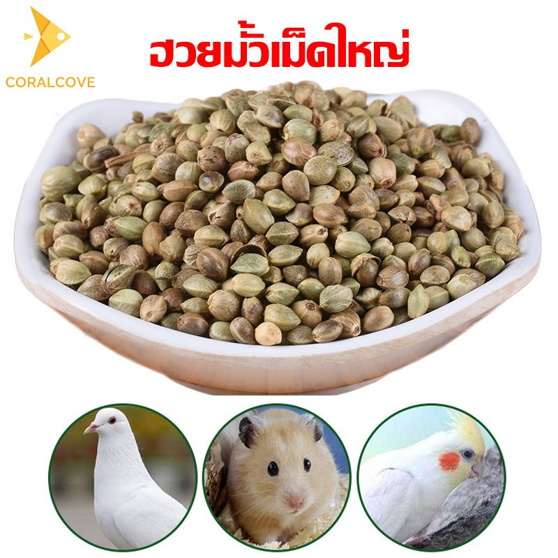 coralcoveshop ฮวยมั้วเม็ดใหญ่ อาหารนกแก้ว หนูแฮมสเตอร์ ปกป้องสุขภาพของสัตว์เลี้ยง 100g