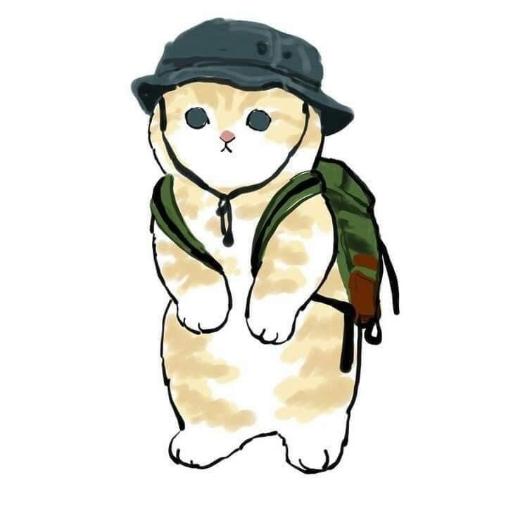 aow 70126666666666666