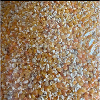 25 กก ข้าวโพดอาหารสัตว์ แบบเม็ด แบบบด