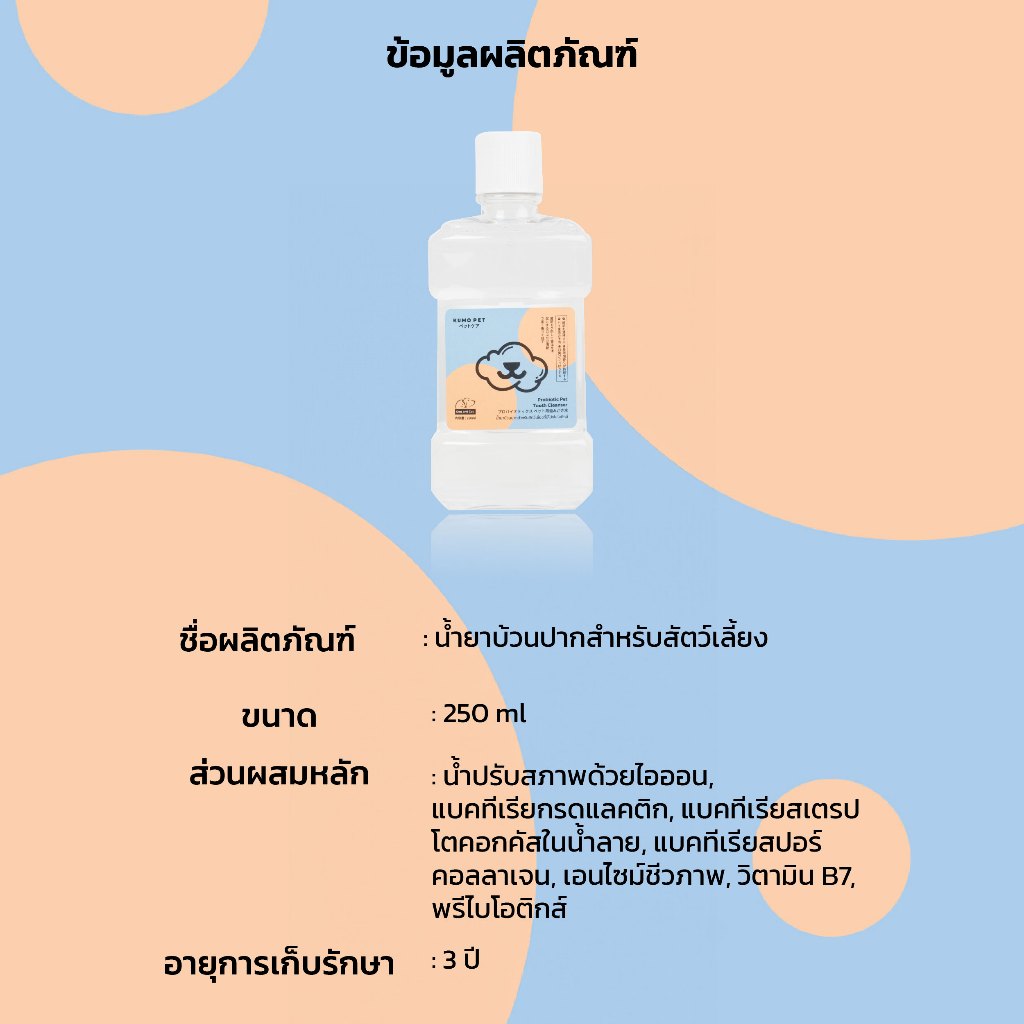 รูปภาพ 9