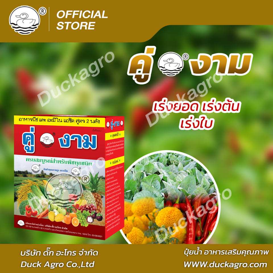 ปุ๋ยน้ำ คู่งาม ตราเป็ด เร่งยอด เร่งต้น เร่งใบ เพิ่มขนาดและเพิ่มความหนาใบ ขนาดบรรจุ 500+500cc