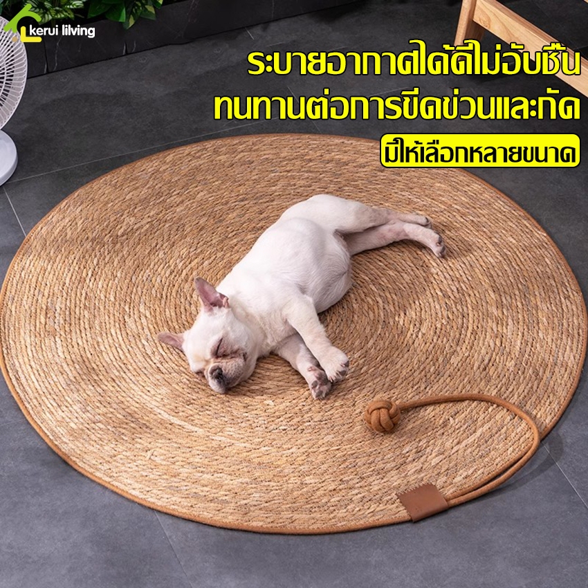 Allsking เสื่อลับเล็บแมว เสื่อหวาย ที่ลับเล็บแมว ของเล่นแมว มี 4 ขนาดให้เลือก เหมาะสำหรับสัตว์เลี้ยงทุกขนาด