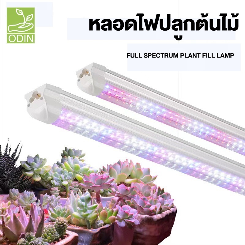 ชุดหลอดไฟ LED T8 grow light 36W full spectrum 90cm 120cm ไฟปลูกต้นไม้ ไฟเพาะต้นอ่อน clone LED light 