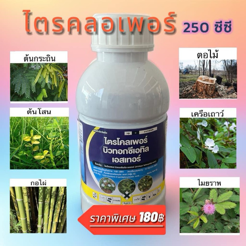 ไตรคลอเพอร์ขนาด250ซีซี ฆ่าเครือเถาว์ ไมยราพ ตอไม้
