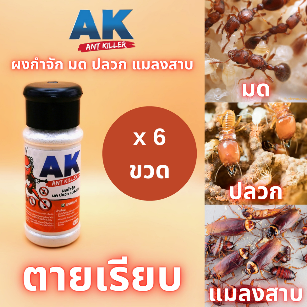ผงกำจัดมด ปลวก แมลงสาบ​ AK Ant Killer 6 ขวด