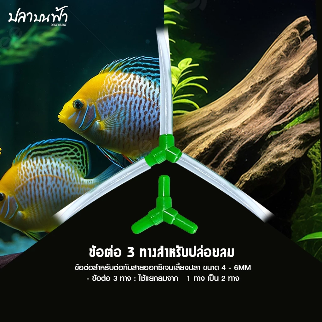 ข้อต่อ MS ROYAL สายยางเลี้ยงปลา ต่อตรง-สามทาง-สี่ทาง ทนทาน thumbnail 5