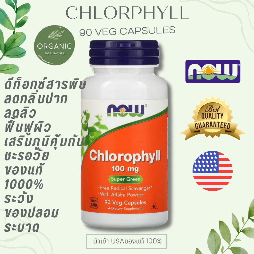 [ส่งไว] Chlorophyll คลอโรฟิล นำเข้า 100 mg 90 Veg Capsules ต้านมะเร็ ง ดีท็อกลำไส้ ลดกลิ่นปากและกลิ่นตัว NOW FOOD