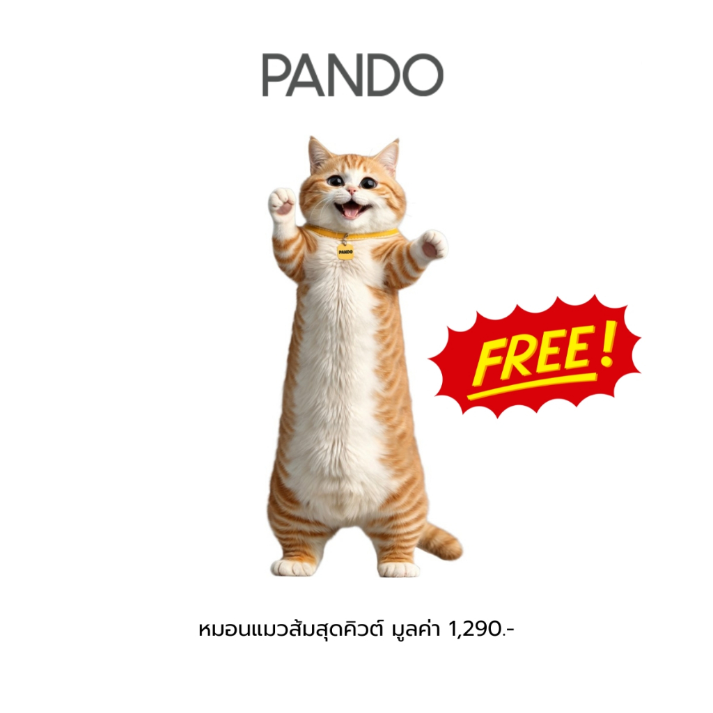[Freebie] PANDO Maew Som Bolster Pillow แพนโด้ หมอนแมวส้มสุดคิวต์