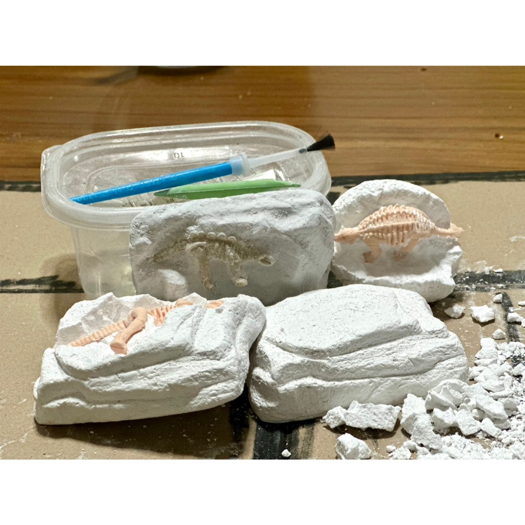 💥พร้อมส่ง💥 ชุดขุดฟอสซิลไดโนเสาร์ Dinosaur fossil Excavation Kit ขุดหากระดูกไดโนเสาร์ ของเล่นส่งเสริมการเรียนรู้