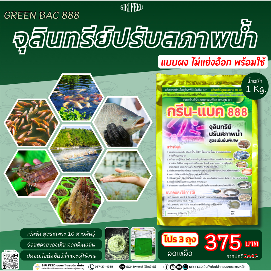 [โปร 3 ถุง]จุลินทรีย์กรีนแบค 888(น้ำสีเขียว)ปรับสภาพน้ำ ลดกลิ่น ลดของเสีย ลดเครียด pHไม่แกว่ง บรรจุ 