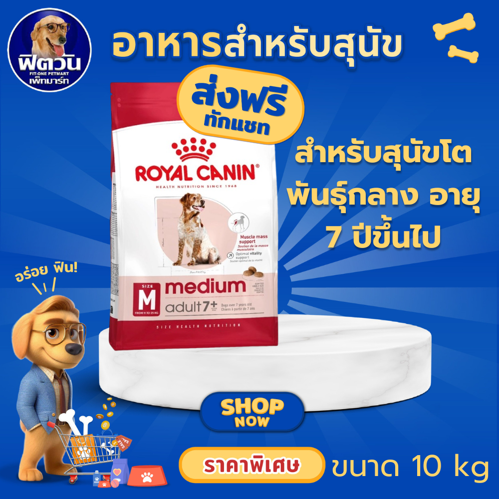 ROYAL CANIN Medium Adult7+ อาหารเม็ดสุนัขพันธุ์กลางสูงวัย 7 ปีขึ้นไป ขนาด 10 กิโลกรัม{อาหารสุนัขเม็ด