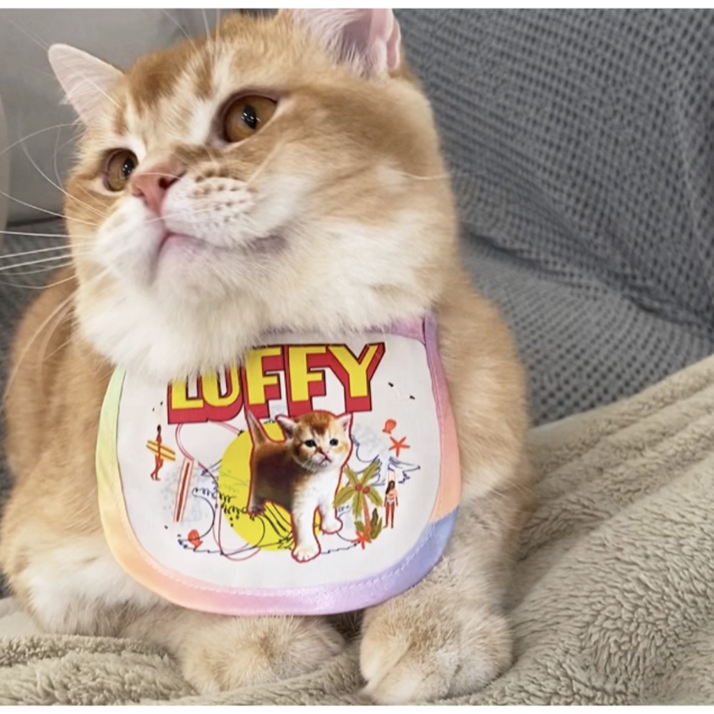 Customized-BIB-ผ้าผูกคอหมาแมว>>>>สามารถเปลี่ยนรูปและข้อความได้**ส่งรูปมาทาง INBOX ได้เลย