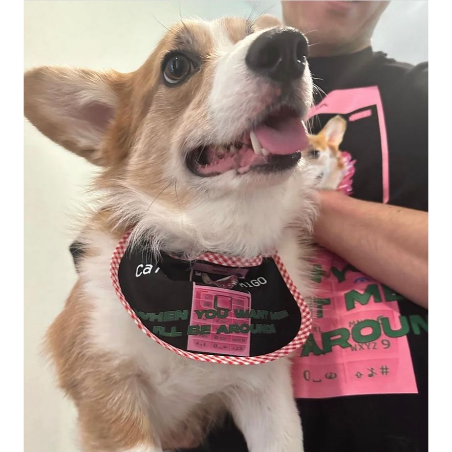 Customized-BIB-ผ้าผูกคอหมาแมว>>>>สามารถเปลี่ยนรูปและข้อความได้**ส่งรูปมาทาง INBOX ได้เลย