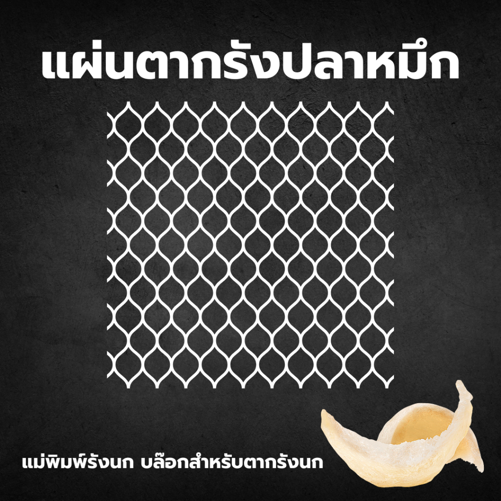 ที่ตากรังปลาหมึก  แผ่นตาก รัง รังนกทรงยาง ทรงปลาหมึก 燕窝工具 燕窝定型器