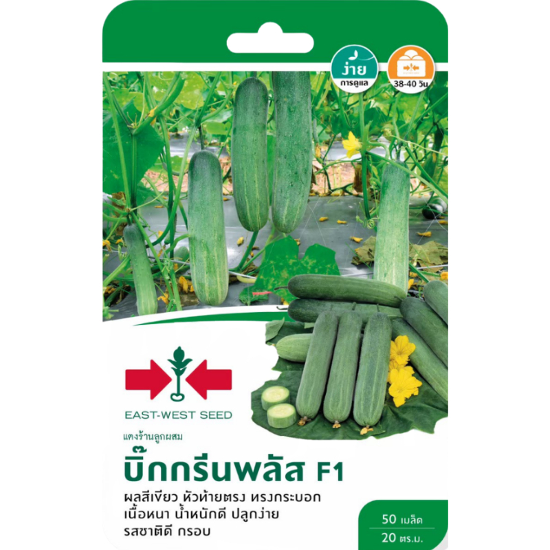 เมล็ดแตงร้านลูกผสม F1 บิ๊กกรีนพลัส