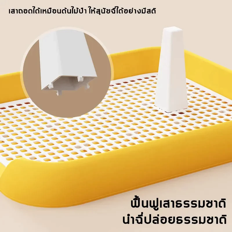 กระบะฉี่สุนัข ถาดรองฉี่สุนัข thumbnail 3