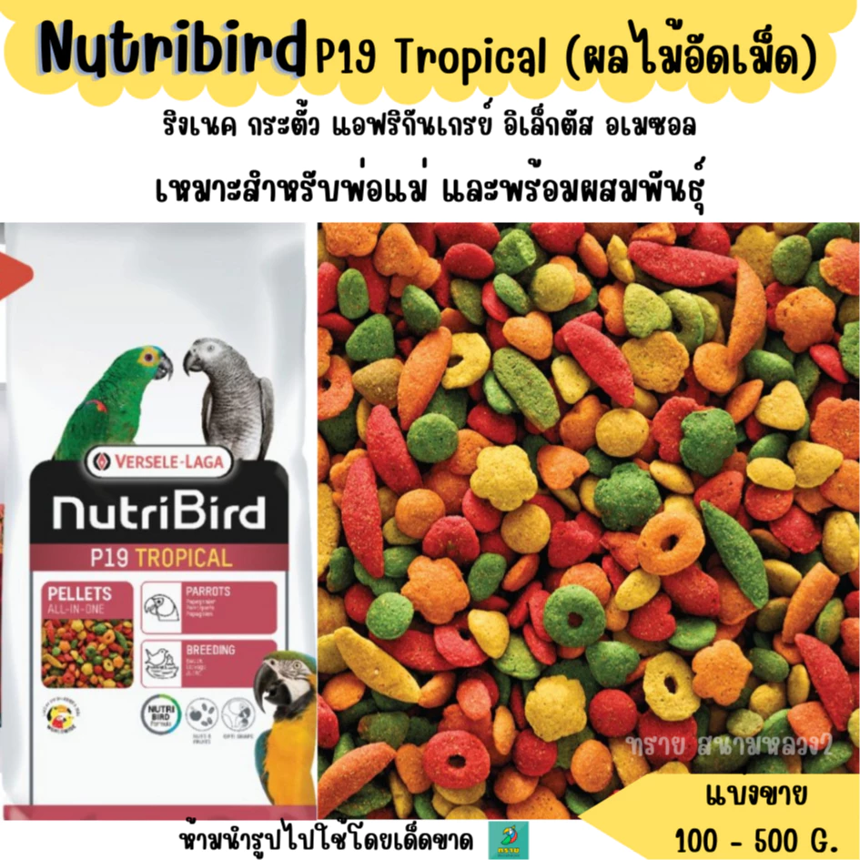 Nutribird P19 Tropical (แบ่งขาย 200-500 G.) อาหารนกแก้วขนาดกลางทุกสายพันธุ์