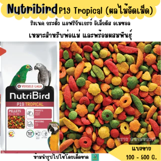 Nutribird P19 Tropical (แบ่งขาย 200-500 G.) อาหารนกแก้วขนาดกลางทุกสายพันธุ์