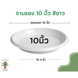 จานรองกระถางต้นไม้ ถาดรองกระถางต้นไม้ จานรองกระถาง จานรองพลาสติก สีขาว 8 นิ้ว 10 นิ้ว 12 นิ้ว 15 นิ้ว 17 นิ้ว
